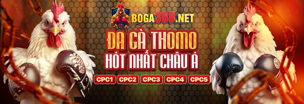 Không bỏ lỡ bất kỳ tin tức nào từ 88win